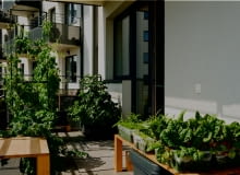 Warzywa w kwiatach Warzywa w kwiatach