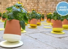 Voltasol, czyli ruchoma doniczka. Proj. studio BAG Disseny voltasol, ruchoma doniczka, niezły gadżet