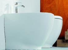 Bidet i sedes stojący ze spłuczką podtynkową Bidet i sedes stojący ze spłuczką podtynkową