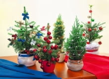 UWAGA ! DO JEDNORAZOWEJ PUBLIKACJI CHOINKI BOZONARODZENIOWE - SWIERK SERBSKI ( Z KOKARDKAMI ) , JALOWIEC CHINSKI ' STRICTA ' ( W ZLOTYM LANCUCHU Z GWIAZDKAMI ) , SWIERK BIALY ' CONICA ' ( Z PREZENTAMI ) , CYPRYSIK LAWSONA ' CHILWORTH SILVER ' ( W SREBRNYM LANCUCHU Z BOMBKAMI ) , SWIERK KLUJACY ' DENSATA ' ( Z CZERWONYMI BOMBKAMI ) FOT. ANNA KULIKOWSKA PUBLIKACJA KWIETNIK NR 12 (204) - 12 2011 SLOWA KLUCZOWE: ROSLINA SWIETA BOZE NARODZENIE CHOINKA DEKORACJA ZDJĘCIE DO WKŁADKI: PUBLIKACJA KWIETNIK NR 12 (204) - CZASOPISMA