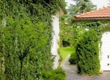 Przejście obok garażu. Wzdłuż ścian budynków posadzono pnącza, aby przy podjeździe dla samochodów było zielono. Przejście obok garażu. Wzdłuż ścian budynków posadzono pnącza, aby przy podjeździe dla samochodów było zielono.