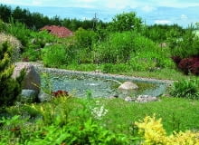 Takie ogrodowe oczko wodne może być świetnym odbiornikiem ścieków z przydomowej oczyszczalni 28.06.2005 MAGDALENKA BASEN STAW KAPIELOWY Z NATURALNA OCZYSZCZALNIA SCIEKOW FOT. WOJCIECH SURDZIEL / AGENCJA GAZETA