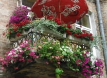 Henryka Zglejszewska, ul. Konopacka 12, Praga-Północ. Henryka Zglejszewska, ul. Konopacka 12, Praga-Północ.