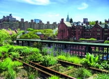 Nieczynne tory stały się rabatami pełnymi bylin i niskich traw tworzących naturalistyczne kompozycje.