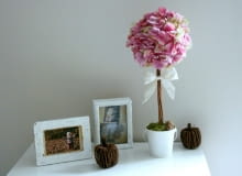 Ozdobne drzewka Zrób to sam