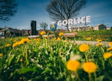 Gorlice Gorlice