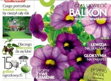 Okładka miesięcznika Magnolia 05/2013