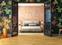 Dąb peacock Dąb peacock