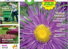 Magazyn Magnolia 9/2016 Magazyn Magnolia 9/2016