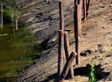 prezentacja ogrodowa