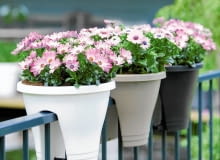 <B>Metalowe czy drewniane? Stojące, a może wiszące? Wybór doniczek i osłonek bywa równie trudny jak wybór kwiatów balkonowych.</B> <BR >Osłonki z tworzywa sztucznego, wys. 27 cm, 31 zł/szt., Markus