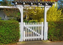 Żywopłoty to ozdoba ogrodu o wielu funkcjach: chronią, stanowią tło dla pojedynczych okazów lub obramowanie rabat i wydzielanych przestrzeni