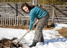 Jeśli śnieg będzie padał nadal, to niecierpliwi zaczną chyba przekopywać glebę wraz z nim. To żart, ale zbyt długa zima opóźniła na znacznie prace ogrodowe. Jeśli śnieg będzie padał nadal, to niecierpliwi zaczną chyba przekopywać glebę wraz z nim. To żart, ale zbyt długa zima opóźniła na znacznie prace ogrodowe.