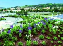 Przykład łączenia nawierzchni: ziemi, żwiru na ścieżkach komunikacyjnych oraz betonowych płytek na tarasie zielony dach