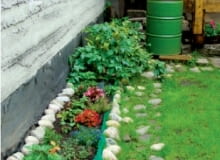 Widok ogrodu przed metamorfozą Widok ogrodu przed metamorfozą