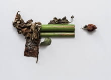 Zielona broń Soni Rentsch Zielona broń Soni Rentsch