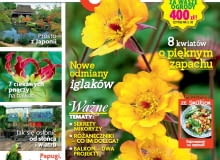 Magazyn Magnolia maj 2015 Magazyn Magnolia maj 2015