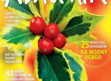 Kwietnik - numer styczniowy