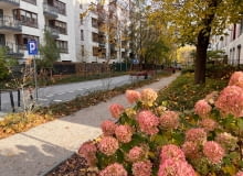 Nowy woonerf na ul. Brandysa