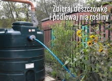 Nie musisz wydawać pieniędzy na wodę do podlewania ogrodu - wystarczy, że zainwestujesz w zbiornik na deszczówkę