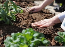 Ochrona gleby Ochrona gleby