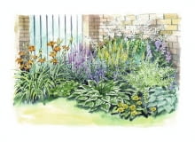 Rabata z kolorowymi kwiatami na zacienione miejsca Rabata z kolorowymi kwiatami na zacienione miejsca