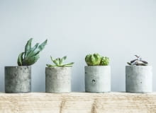 Dekoracje z betonu Dekoracje z betonu