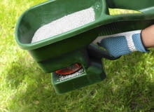 nawozimy trawnik nawozimy trawnik