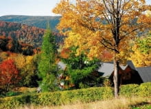 Jesień w ogrodzie- na co zwrócić uwagę? Jak dbać o ogród jesienią?