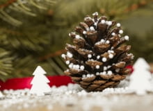 Ozdoby z szyszek Ozdoby z szyszek