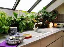 Przez jakiś czas się wydawało, że kwiaty doniczkowe w mieszkaniu przestały być modne. To się zmienia. Piękne rośliny są ozdobą każdego wnętrza. Pomożemy ci je wybrać. <BR /> Okno w kuchni zapewnia światło, a sąsiedztwo zlewu - wilgoć. NASZA RADA: w takim klimacie rosną pięknie rośliny o ozdobnych liściach, np. alamanda, pachira, kroton, monstera. Houseplants below skylight window in modern attic kitchden SLOWA KLUCZOWE: INTERIORS INTERIOR detail KITCHENS TAPS CROCKERY PLANTS DETAIL DETAILS TOWN ATTICS LOFTS HOUSEPLANTS MODERN ZDJĘCIE DO WKŁADKI: Analogue