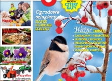 Magazyn Magnolia - 1/2015