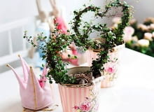 Coś dla romantyków; druciana podpórka w kształcie serca opleciona wiotką mulenbekią. UWAGA ! DO JEDNORAZOWEJ PUBLIKACJI WNETRZA , ROSLINA DONICZKOWA - MULENBEKIA OPLECIONA W DRUCIANA PODPORKE W KSZTALCIE SERCA FOT. FLORA DANIA PUBLIKACJA KWIETNIK NR 8 (188) - 8 2010 SLOWA KLUCZOWE: WNETRZE ROSLINA ZDJĘCIE DO WKŁADKI: PUBLIKACJA KWIETNIK NR 8 (188) - CZASOPISMA