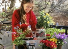Rtalisation d'une jardiniTre de printemps. Plantation d'un rosier, enfant SLOWA KLUCZOWE: Balkonkasten Balkon-Kasten Blumenkasten FrŁhling Kind Leute Mensch People Pflanze Pflanzen Schritt fŁr Schritt step