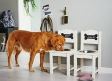 Miski dla psa na stojaku Miski dla psa na stojaku