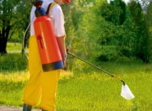 środki ochrony roślin,środki chemiczne,pryskanie roślin OGROD CHWASTY NARZEDZIA OPRYSKIWACZ ORION Z PREPARATEM CHWASTOBOJCZYM FOT. KWAZAR PUBLIKACJA KWIETNIK NR 6 (162) - 6 2008