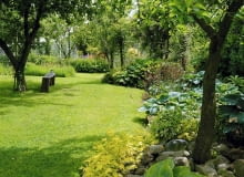 Bazą tego ogrodu są drzewa owocowe - rabaty ozdobne założono tu poza zasięgiem koron