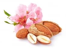 Migdały to pestkowce migdałowca pospolitego (Prunus dulcis). Zawierają wyjątkowo dużo witaminy E (opóźnia proces starzenia, nazywana więc jest witaminą młodości). Mają też sporo witaminy B2 (ważnej dla błon śluzowych i skóry), B3 oraz wapnia. Najwięcej antyoksydantów jest w ich skórce, lepiej więc jeść migdały nieobrane.