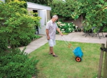 Semmick Photo shutterstock