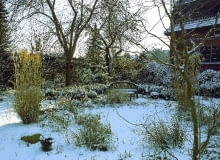 ONE TIME USE ONLY DO JEDNOKROTNEJ PUBLIKACJI ZIMA OGROD ROSLINY FOT. OASE PUBLIKACJA KWIETNIK NR 1 (145) - 1 2007