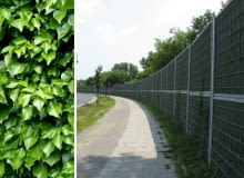 Czy ekrany w Łodzi zostaną obsadzone bluszczem?