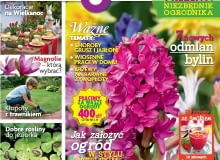 Magazyn Magnolia 2015