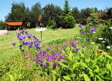 Grupy drzew i pasma kolorowych krzewów kontrastują tu z otwartą przestrzenią Grupy drzew i pasma kolorowych krzewów kontrastują tu z otwartą przestrzenią