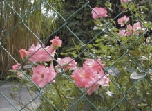 Siatka metalowa, ogrodzenie, ogrodzenie z siatki, siatka ogrodzeniowa Siatka metalowa, ogrodzenie, ogrodzenie z siatki, siatka ogrodzeniowa