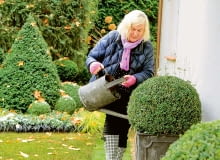 Zima w ogrodzie Zima w ogrodzie