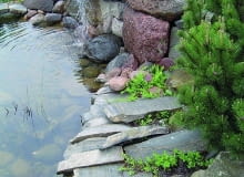 Płyty granitowe wystają nad taflę wody, aby folia na pionowym brzegu była niewidoczna. Płyty granitowe wystają nad taflę wody, aby folia na pionowym brzegu była niewidoczna.