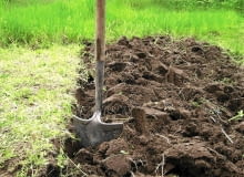 JESIENIĄ GLEBĘ tylko przekopujemy, nie grabimy jej (pozostawiamy w ostrej skibie) JESIENIĄ GLEBĘ tylko przekopujemy, nie grabimy jej (pozostawiamy w ostrej skibie)