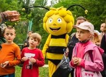 Owadzie Lato z Pszczółką Mają Owadzie Lato z Pszczółką Mają