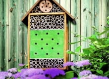 Budka dla owadów pożytecznych Budka dla owadów pożytecznych