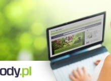 e-ogrody.pl zapisz się na newsletter